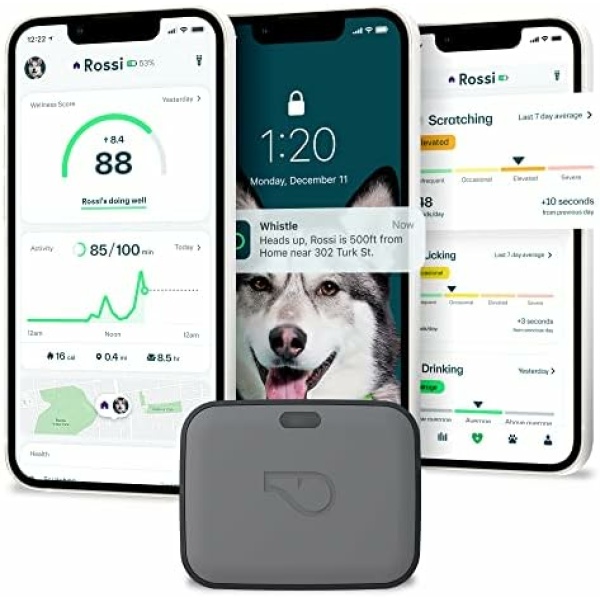 Whistle GO Explore GPS + Health + Fitness Dog Tracker Plus Health & Fitness Monitor, Waterproof, Safe Place Escape Alerts, Built-in Light, Fits on Dog Collar, for Dogs 25 lbs and up Grey
