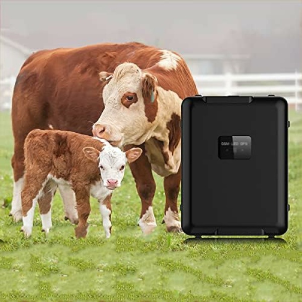 Animal Tracker, APP Pet WiFi GPS Location Activity Tracker with Custom Grazing Ranges and Tamper Alarms, Track Playback and Multiple Account Management, for Cattle Sheep Horses