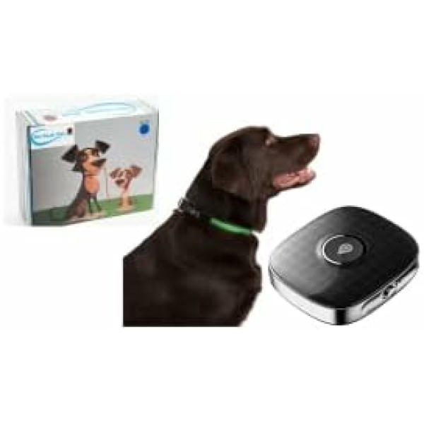 DE-TECH PET Bundle Pack Q68 PET Tracker- Waterproof,Unlimited Range,LED Collar,SIM Card with Free 1 Month Trial Everything Included (Small, Green)