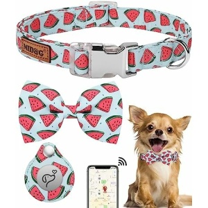 Dog Collar for Small Medium Large Dogs, Fashion AirTag Dog Collar with Removable Bowtie, Soft Nylon Adjustable Puppy Collar with Quick-Release Metal Buckle, with Air Tag Holder Case (Watermelon, S)