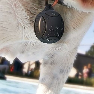 Encased Waterproof AirTag Case for Dog Collar - Great for Cats and Pets, Designed for Apple AirTag Tracker (IP68 Shockproof/Submersible)