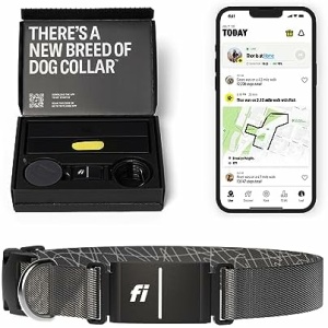 Fi Series 3 Smart Dog Collar - GPS Dog Tracker and Activity & Fitness Monitor, Waterproof, LED Light, Escape Alerts, Nationwide Coverage [6 Month Membership] (Large, Gray)