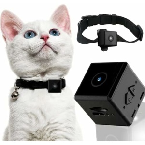 Jukllezan No WiFi Needed Pet Collar Camera & Cat Collar Camera with Video Records Mini Body Camera Nanny Cam for Home Security Indoor Wireless (ZMJ-SQ12)