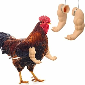 Muscle Chicken Arms Toys for Chickens to Wear, Funny Fist Fighting Cosplay Costume for Pet Halloween Prank Party, Artificial Arms Toy for Chickens Rooster Hens Eagles Forelimb Decoration