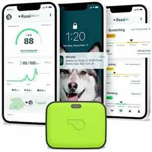 Whistle GO Explore GPS + Health + Fitness Dog Tracker Plus Health & Fitness Monitor, Waterproof, Safe Place Escape Alerts, Built-in Light, Fits on Dog Collar, for Dogs 25 lbs and up Green