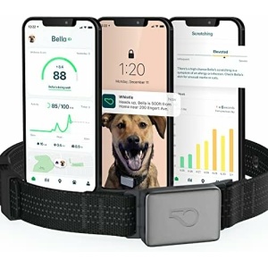 Whistle Switch GPS + Health + Fitness Smart Dog Collar, 24/7 Dog GPS Tracker Plus Dog Health & Fitness Monitor, Sleek Design, Waterproof, 2 Rechargeable Batteries, for Dogs 5lbs and up (Black) XS/S